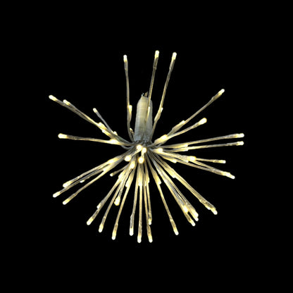 16" Spritzer 80L White Branch