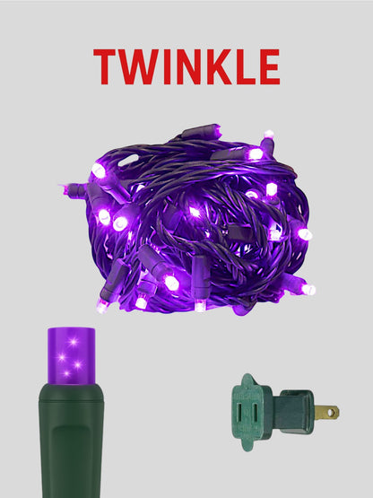 50L 6" Concave Twinkle Mini Christmas Lights